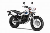 2013 Yamaha TW200 photo